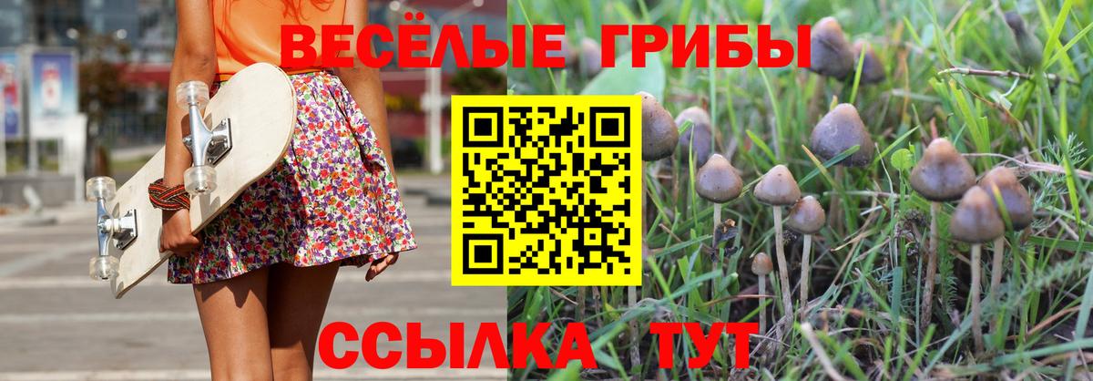Псилоцибиновые грибы Magic Shrooms Лабытнанги